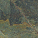 dobre płytki na ścianę VIVID GREEN RAINFOREST GRES PULIDO REKTYFIKOWANY 89.46X89.46 
